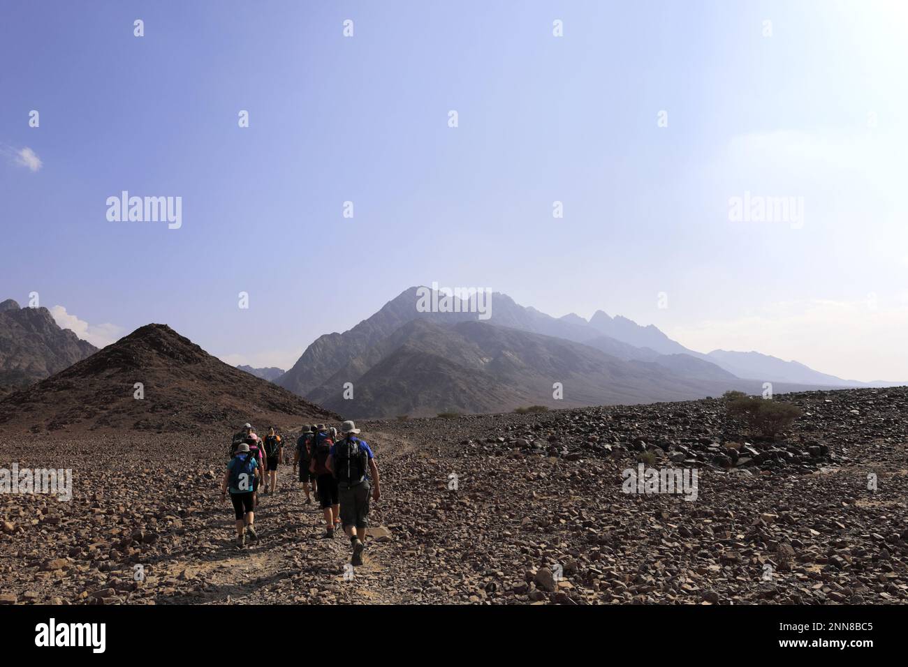 Walkers in the Hamada rocky landscape in Wadi Feynan, AlSharat, Wadi Araba Desert, south