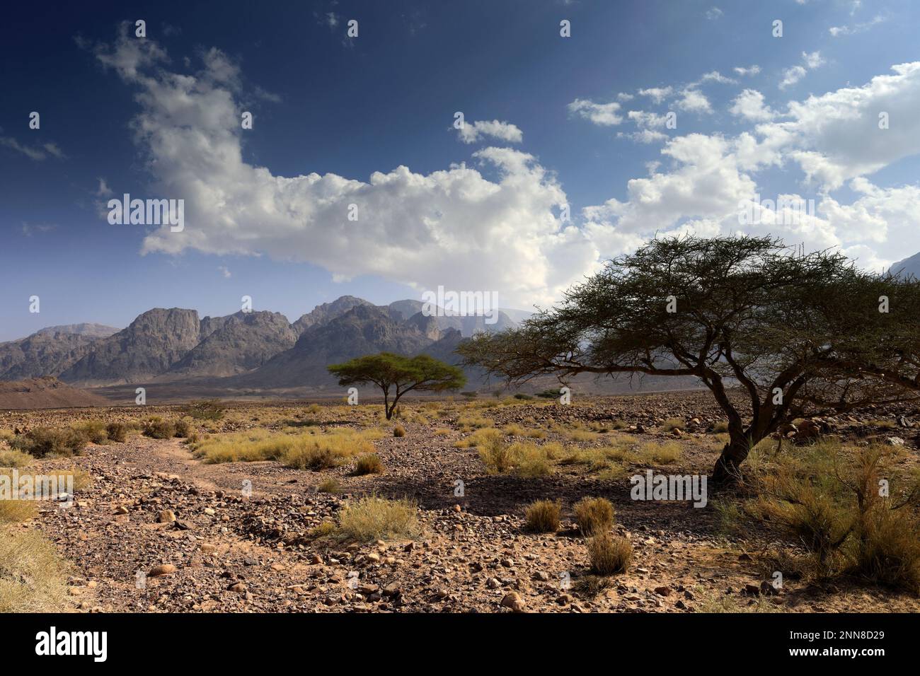 View over the Hamada rocky landscape in Wadi Feynan, Al-Sharat, Wadi ...