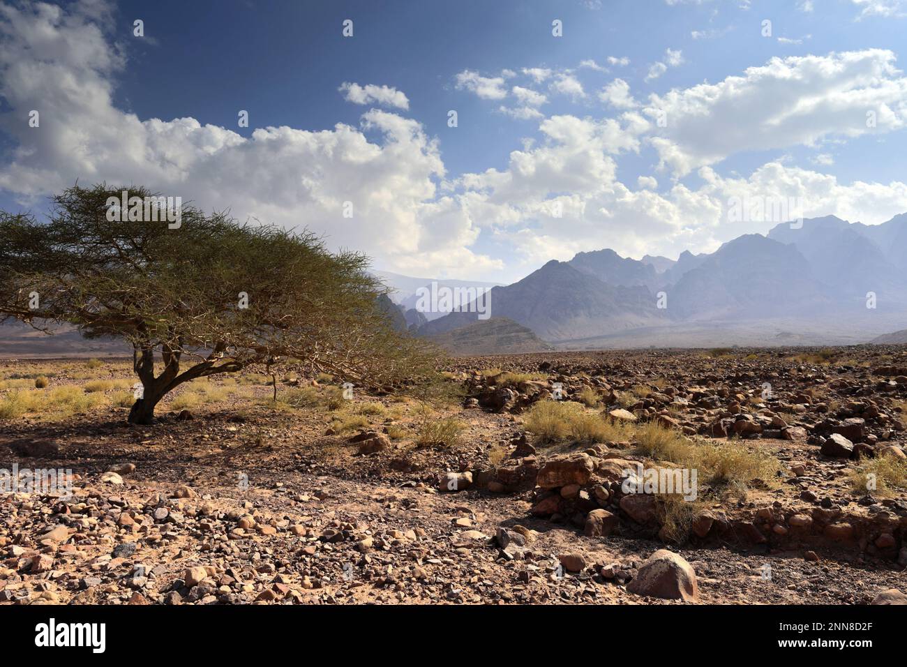 View over the Hamada rocky landscape in Wadi Feynan, Al-Sharat, Wadi ...