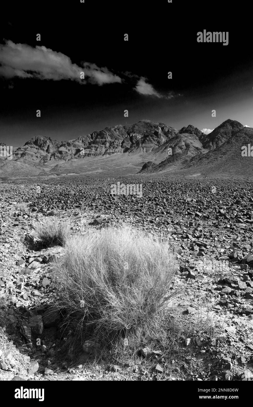View over the Hamada rocky landscape in Wadi Feynan, AlSharat, Wadi