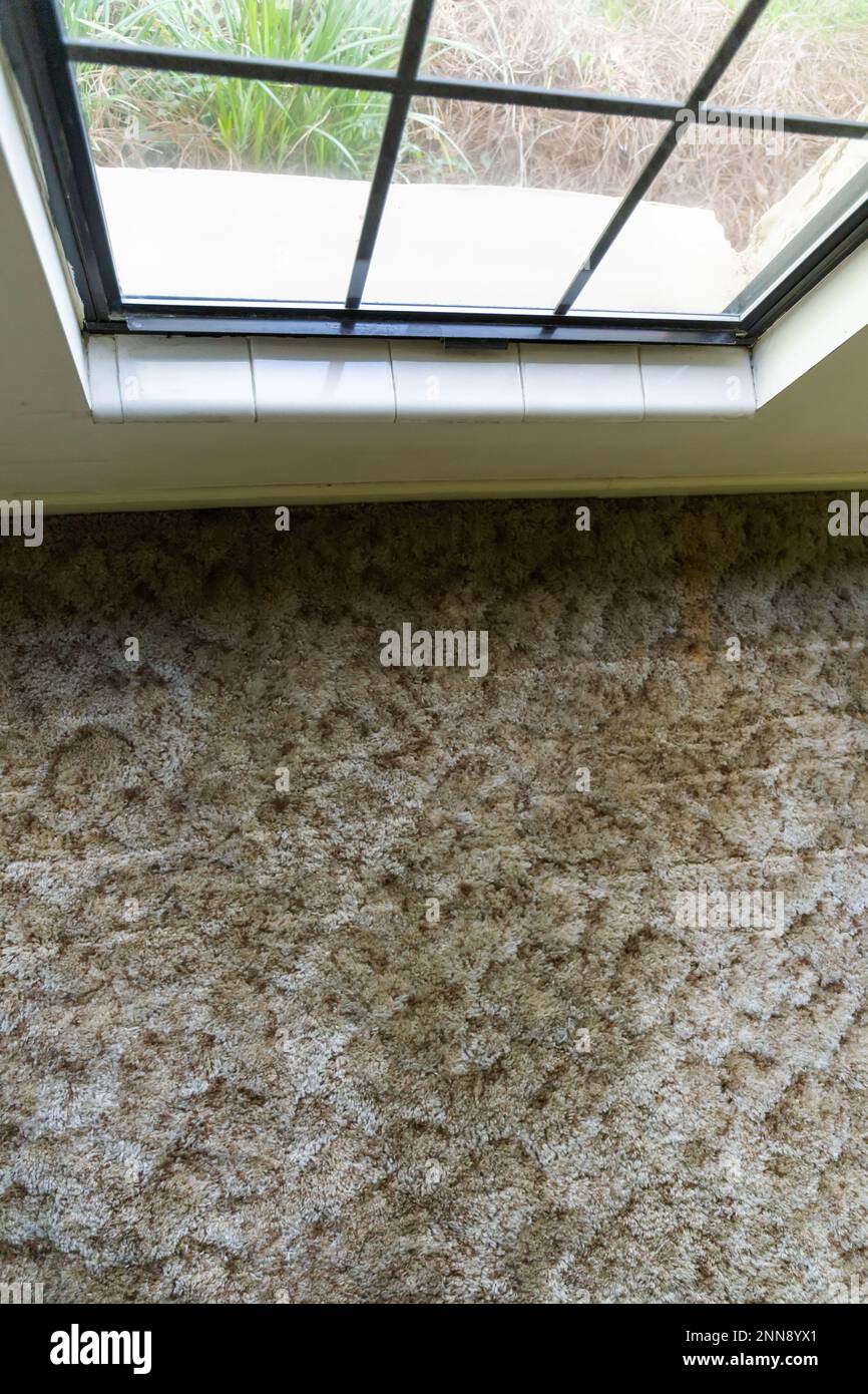 Old and brown shag carpet from a 1970's home house with a black aluminum window Stock Photo