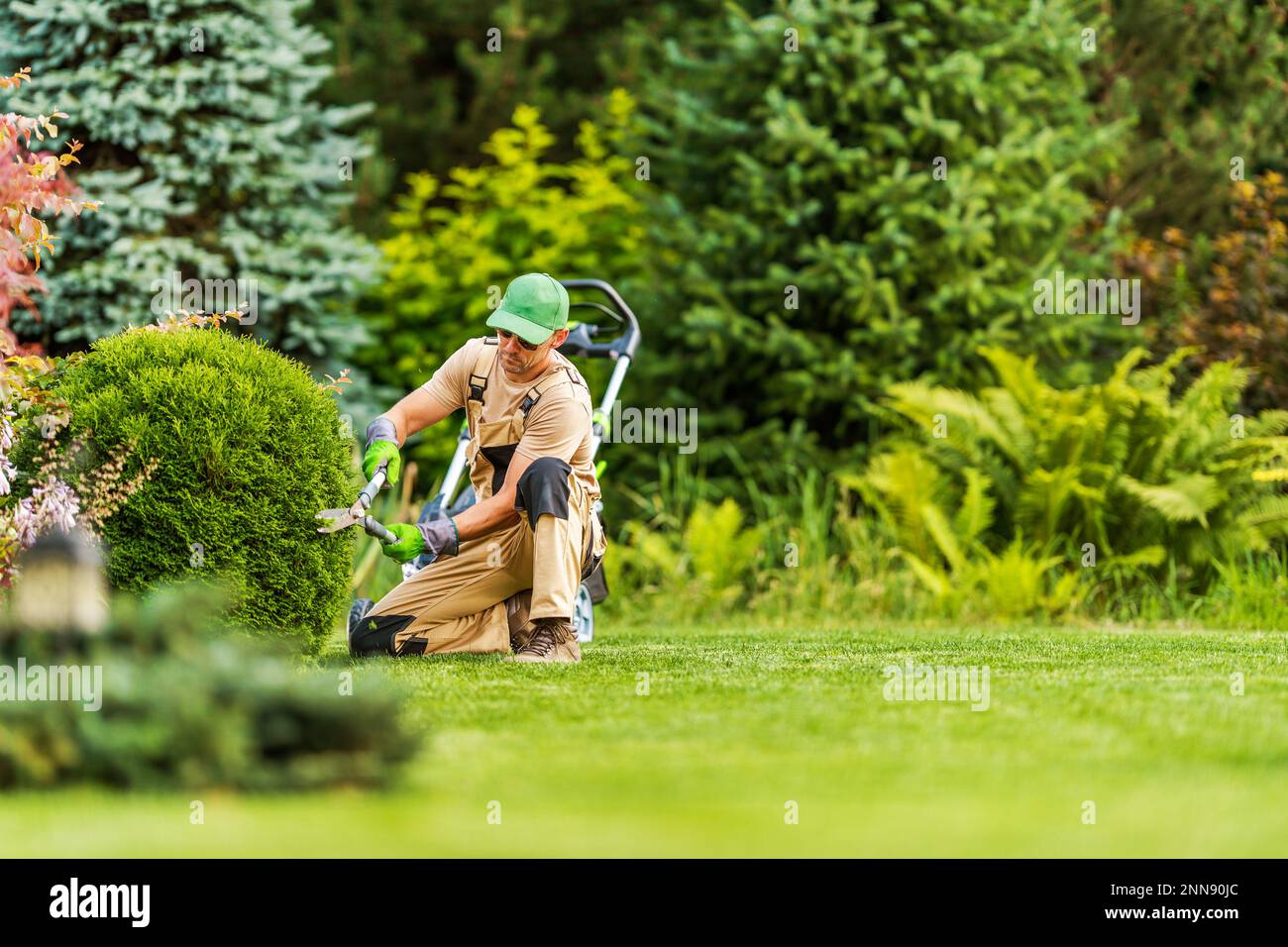 Professional Gardener Shaping Green Shrub with Garden Scissors During Landscape Maintenance Work. Blurred Background with Copy Space. Stock Photo
