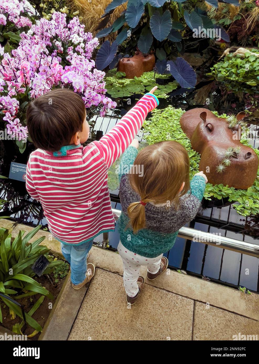 2023 Orchid Festival in Kew Gardens inspired by Cameroon, the African country.Two children in the Princess of Wales Conservatory enjoy their visit. Stock Photo