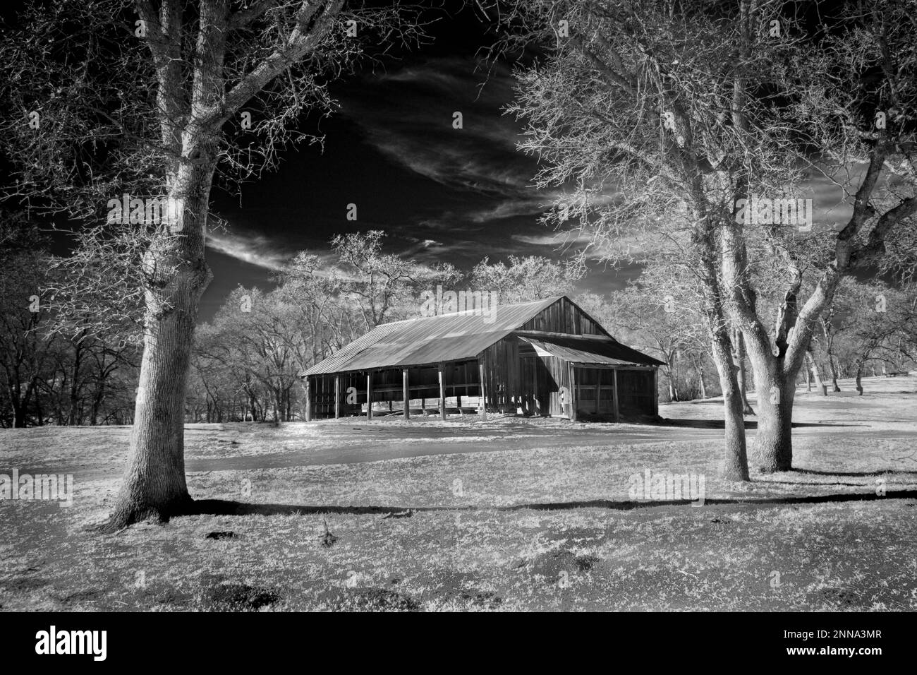 Rustic old barn in woodland - Shasta County California, USA - Black and White Infrared. Stock Photo