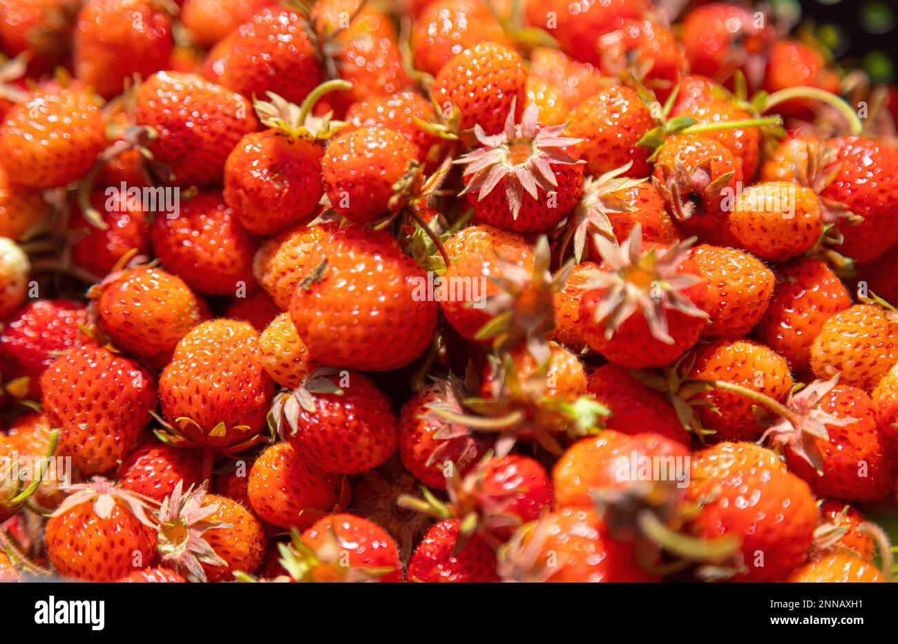 Wallpaper of strawberries hi-res stock photography and images - Alamy