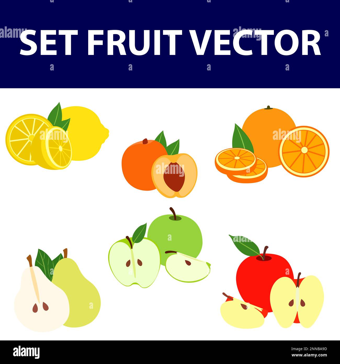 Set of flat tropical fruits. Isolated objects. Modern flat design. Vector illustration Stock