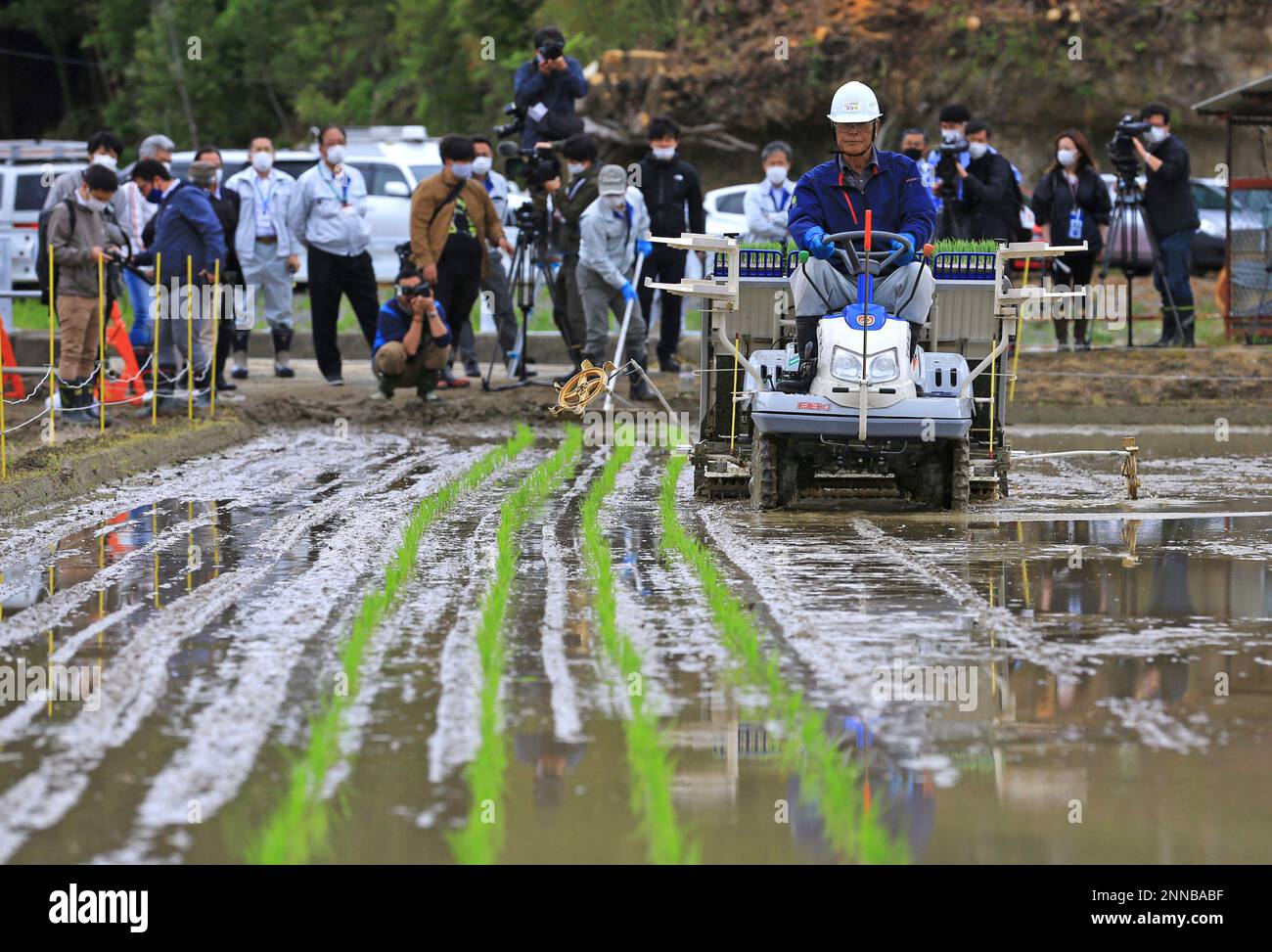 First rice planting since the nuclear disaster in FutabaRice planting ...