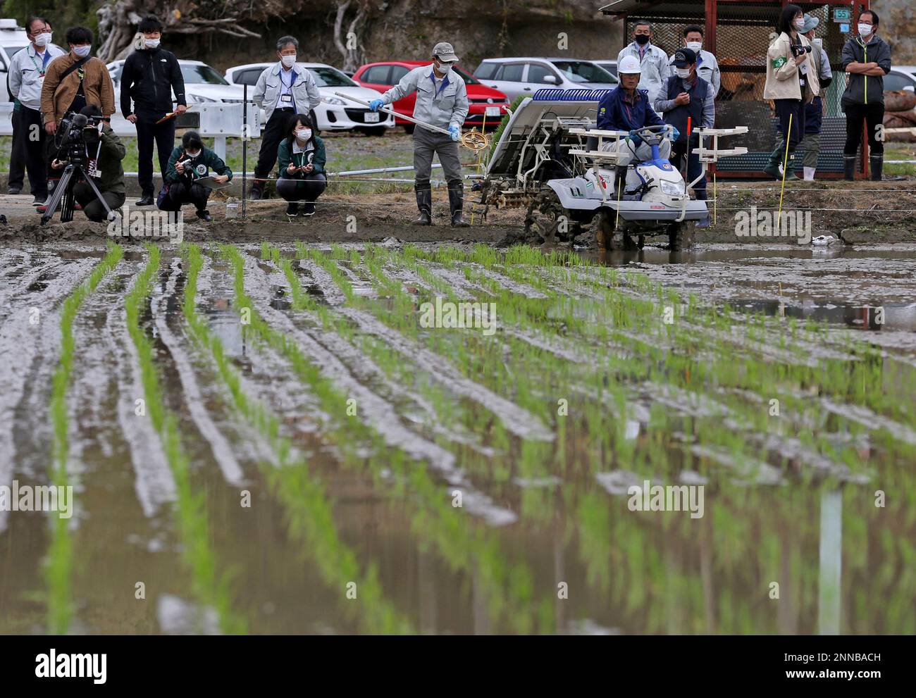 First rice planting since the nuclear disaster in FutabaRice planting ...