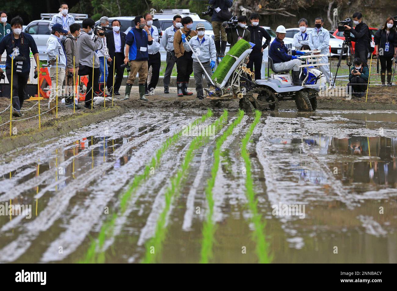 First rice planting since the nuclear disaster in FutabaRice planting ...