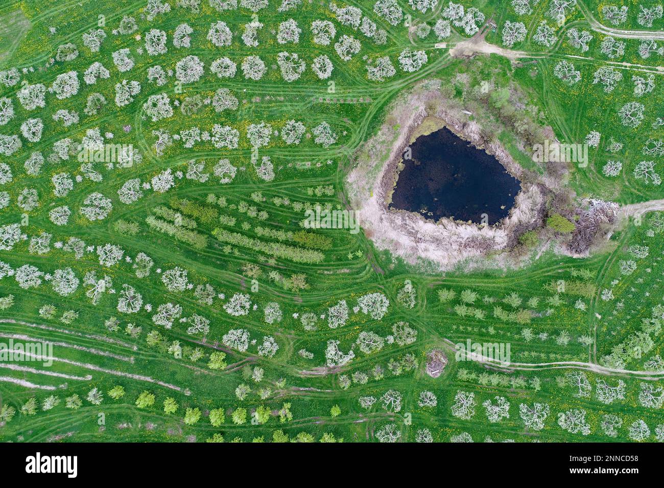 Apple blossoms mark the start of a new growing season at Jaeschke