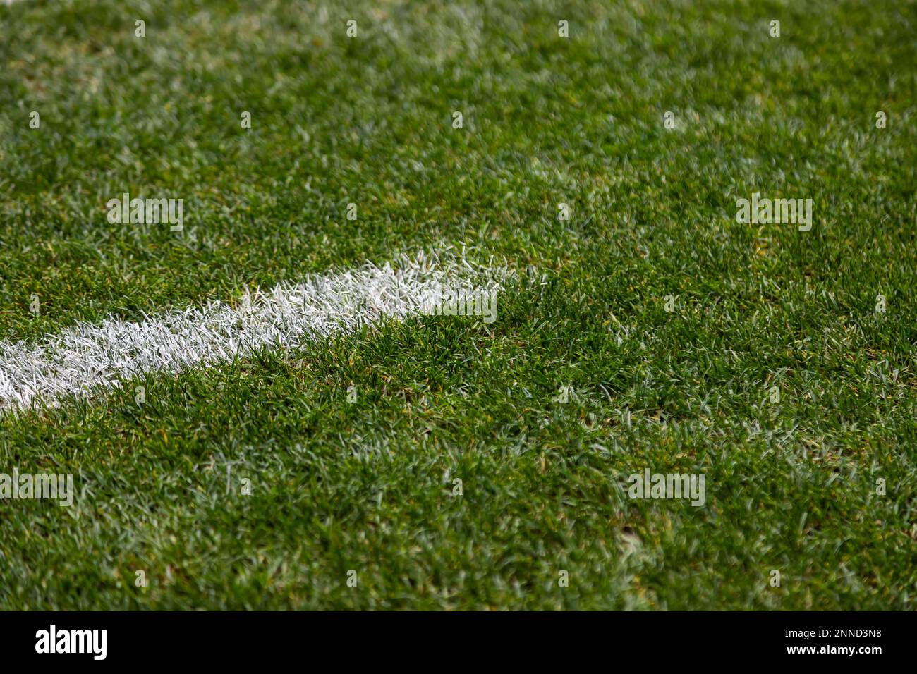 Soccer Field Line detail for Backgrounds or Texture Stock Photo Alamy