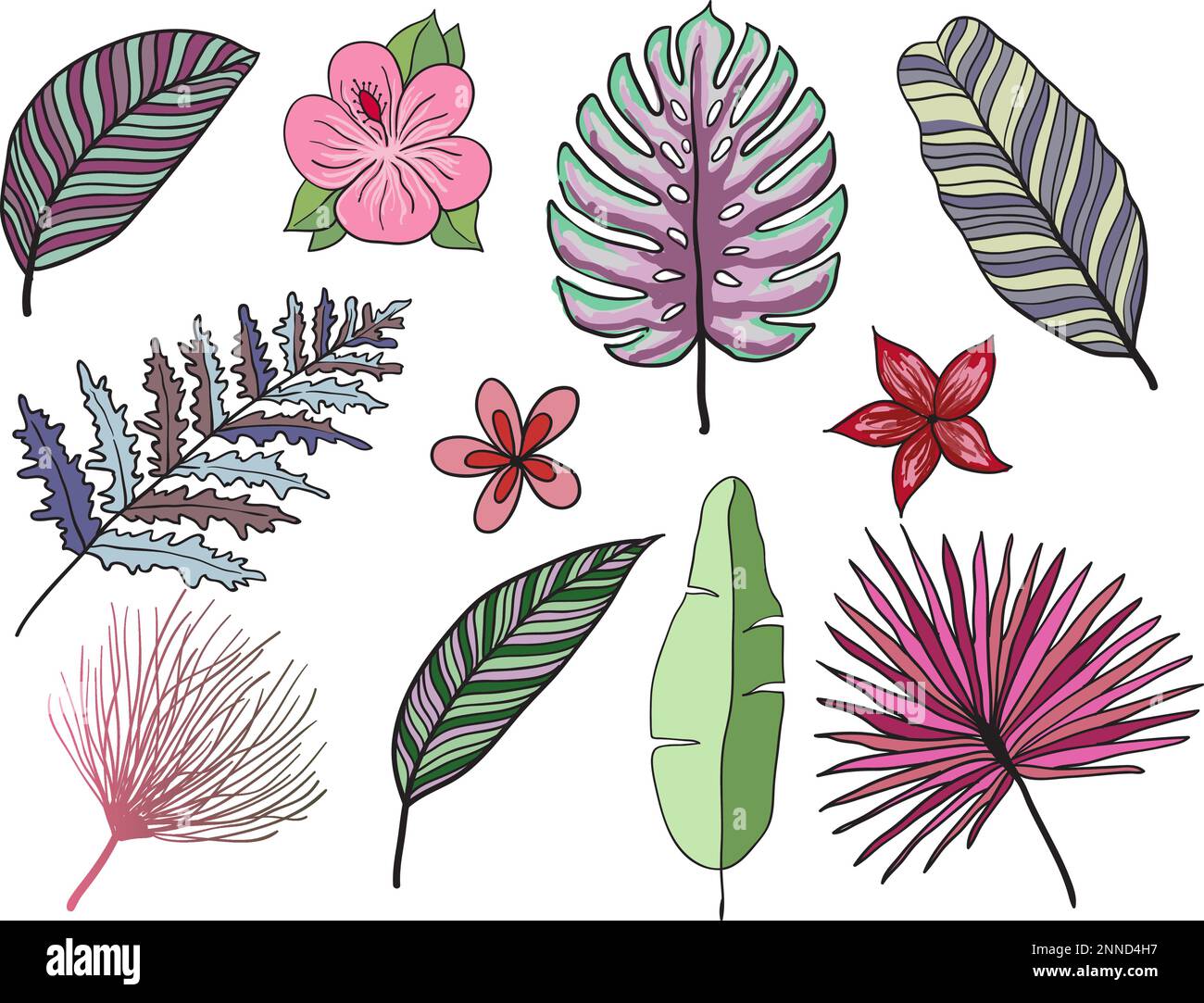 Hand drawn tropical leaves silhouette vector set. Set Leaf. Exotics ...