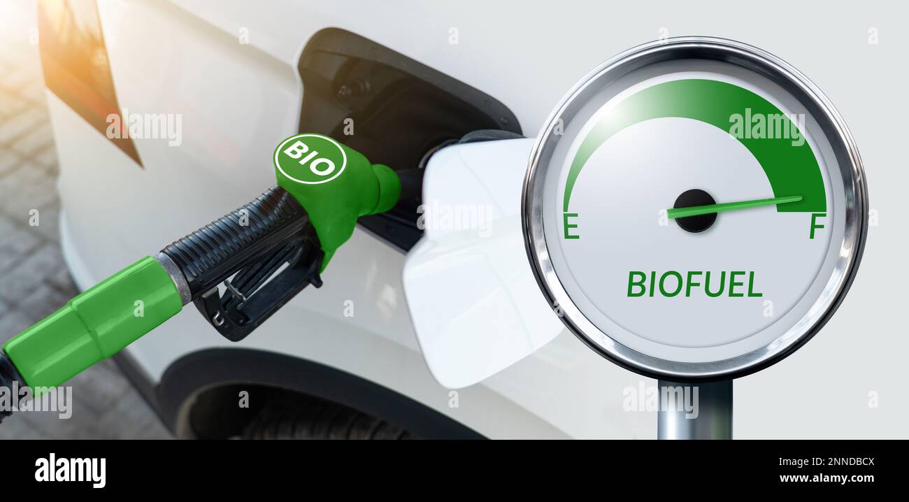 Carbon neutral bio fuel decarbonization concept Stock Photo