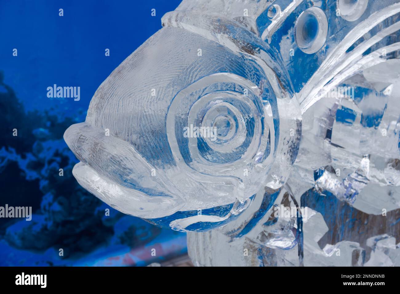 https://c8.alamy.com/comp/2NNDNNB/durham-uk-february-25th-2023-fire-and-ice-festival-in-durham-county-durham-uk-ice-carving-sculptures-on-display-around-the-city-at-the-annual-winter-event-that-brings-together-ice-sculptors-and-visitors-who-follow-a-city-trail-and-watch-live-demonstrations-of-the-art-form-as-well-as-later-fire-performances-this-year-the-theme-of-the-event-was-steampunk-credit-hazel-plateralamy-live-news-2NNDNNB.jpg