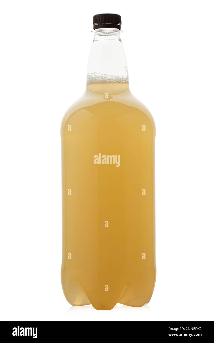 Plastic bottle with filtered beer. Isolated on a white background. File