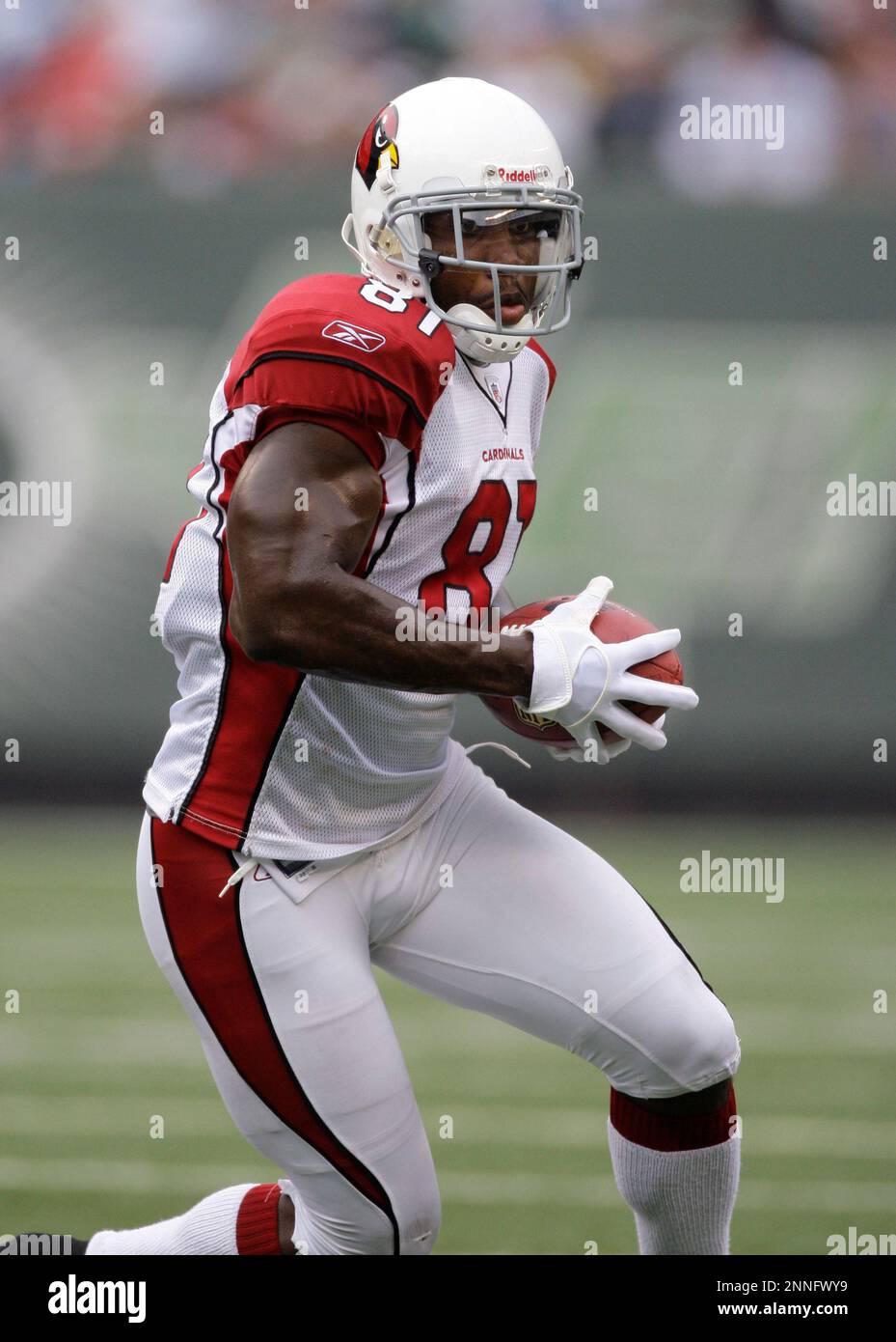 28 September 2008: Arizona Cardinals wide receiver Anquan Boldin (81)  during the second half of the