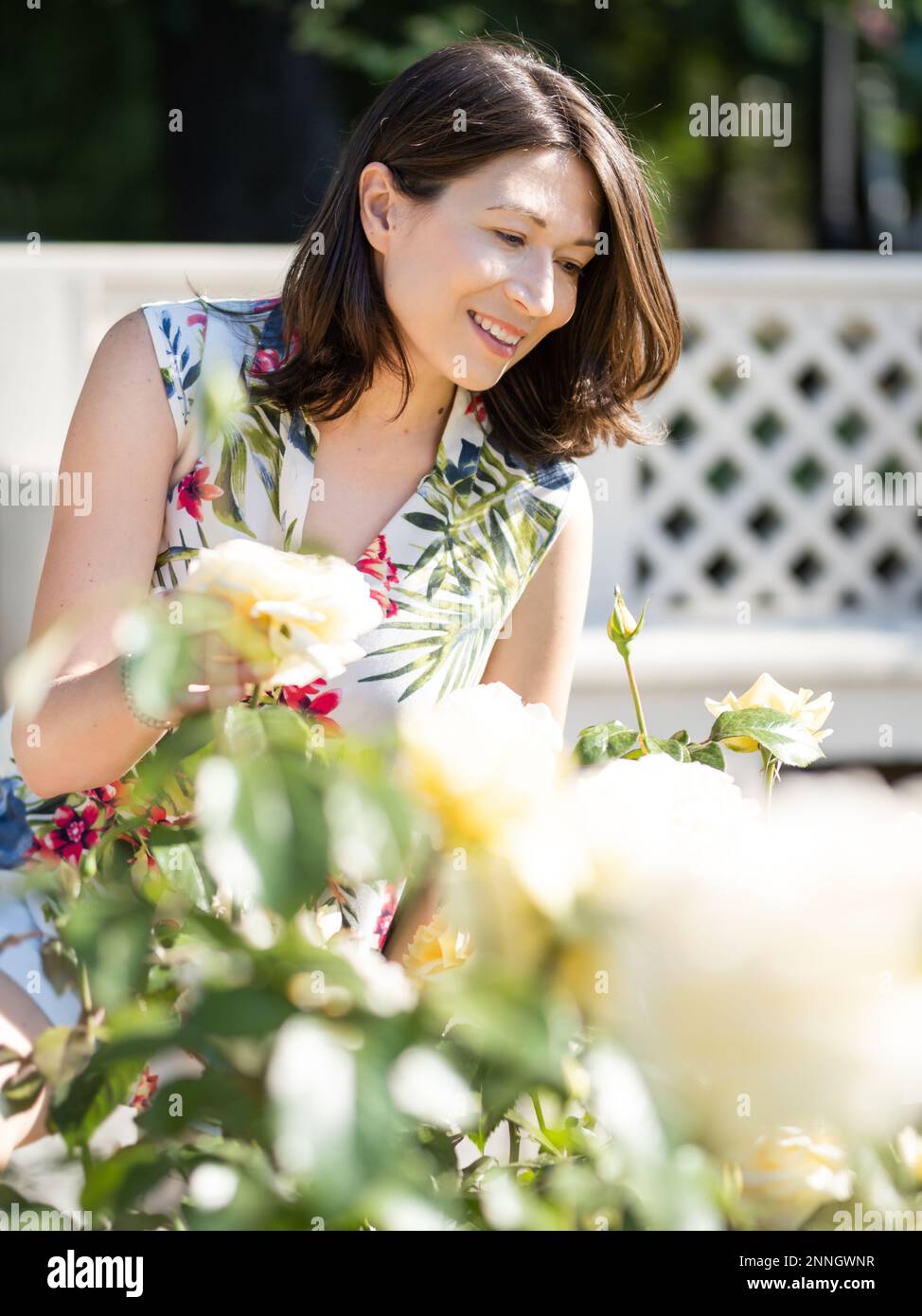Woman is admiring of blooming roses in public park. Summer vibes. Tropical plants and flowers in bloom in garden. Floriculture as hobby. Stock Photo
