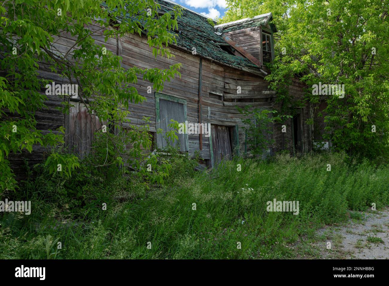 A dilapidated structure in the ghost town of Balaclava, which saw its heyday in the late 1800s as part of the bustling timber industry. Stock Photo