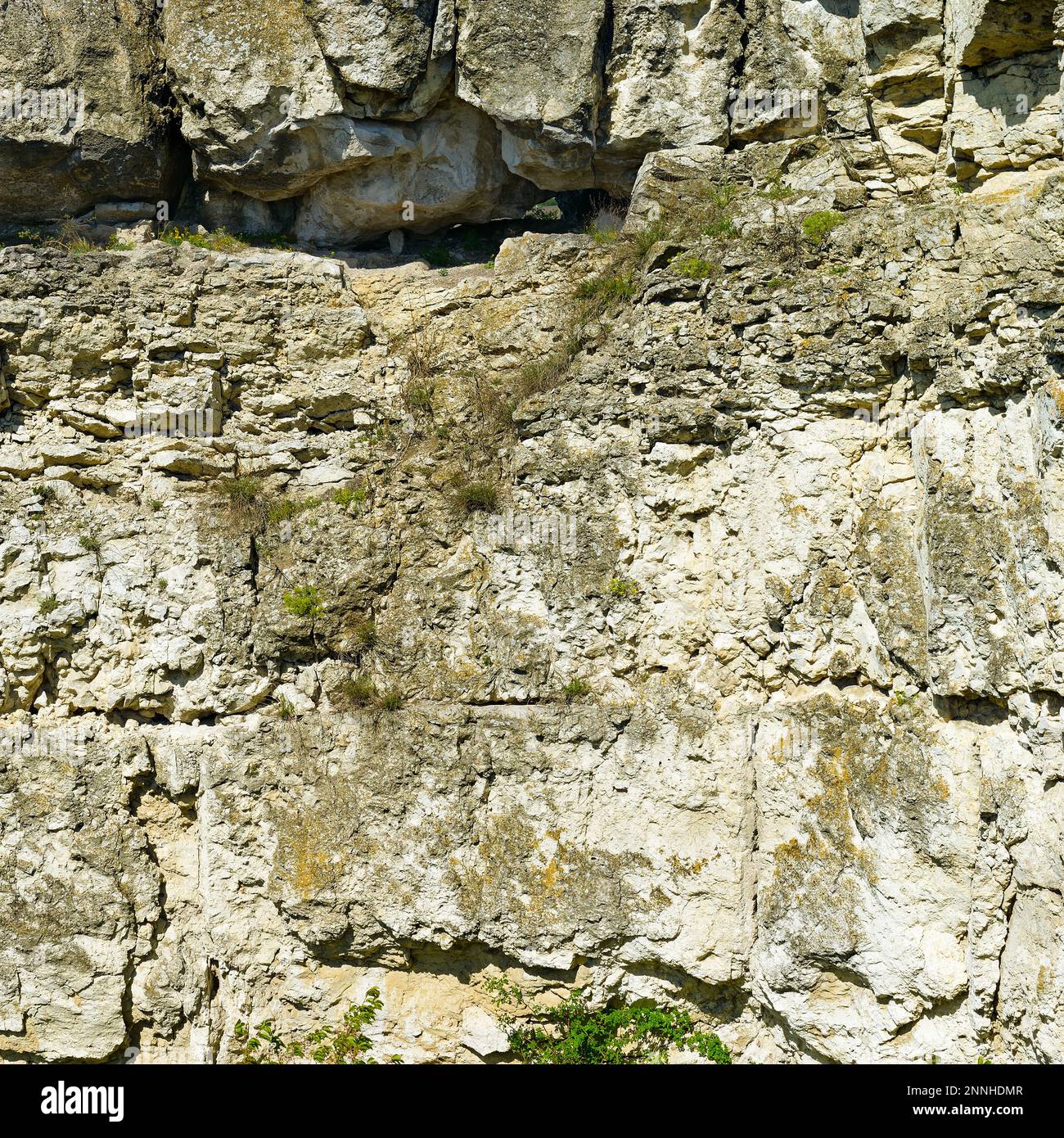 Geological section of ancient deposits of shell rock Stock Photo Alamy