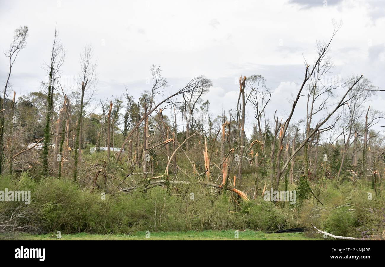 NEWNAN, GA MARCH 27 A once wooded area is now filled with damaged