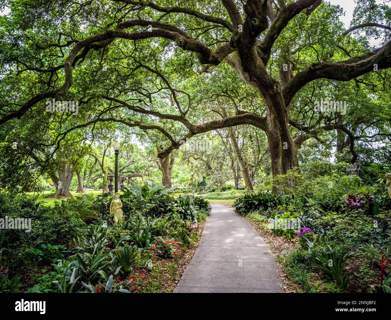 Garden with Oak Trees at Houmas House and Gardens,ca 1840,mansion and