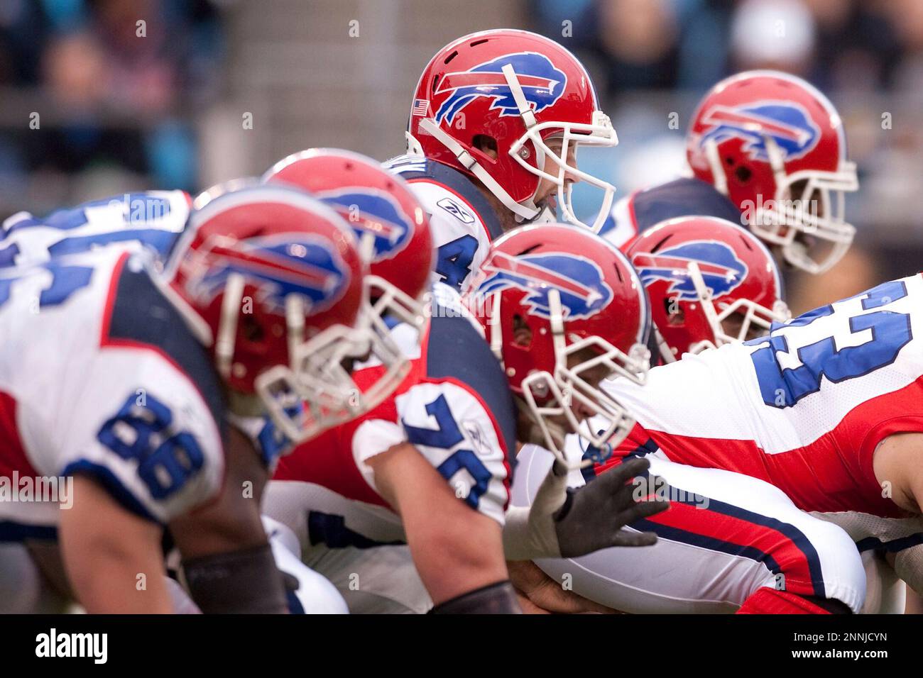 25 October 2009: Bills quarterback Ryan Fitzpatrick (14) gets hit by Panther  defensive end Tyler Brayton (96) during the second quarter of the Buffalo  Bills 20-9 victory over the Carolina Panthers at