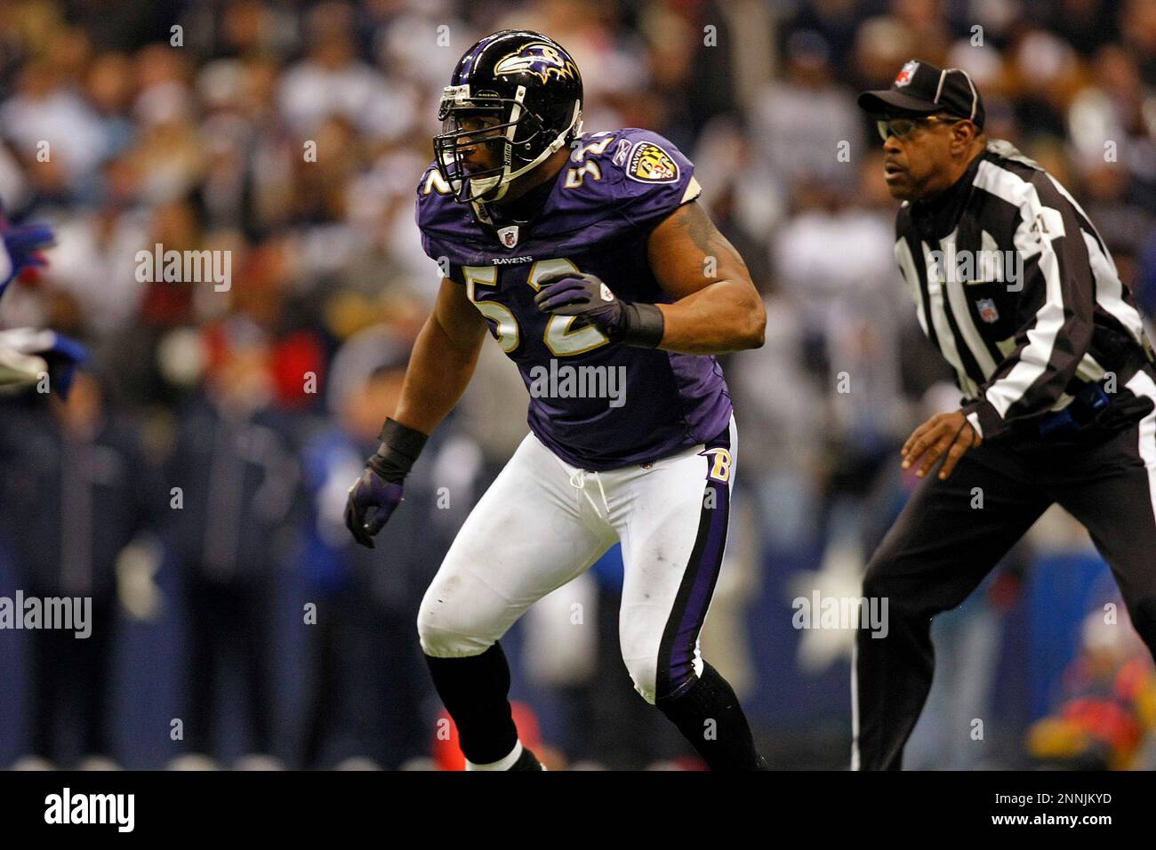 20 December 2008 - Ray Lewis (52) of the Baltimore Ravens during