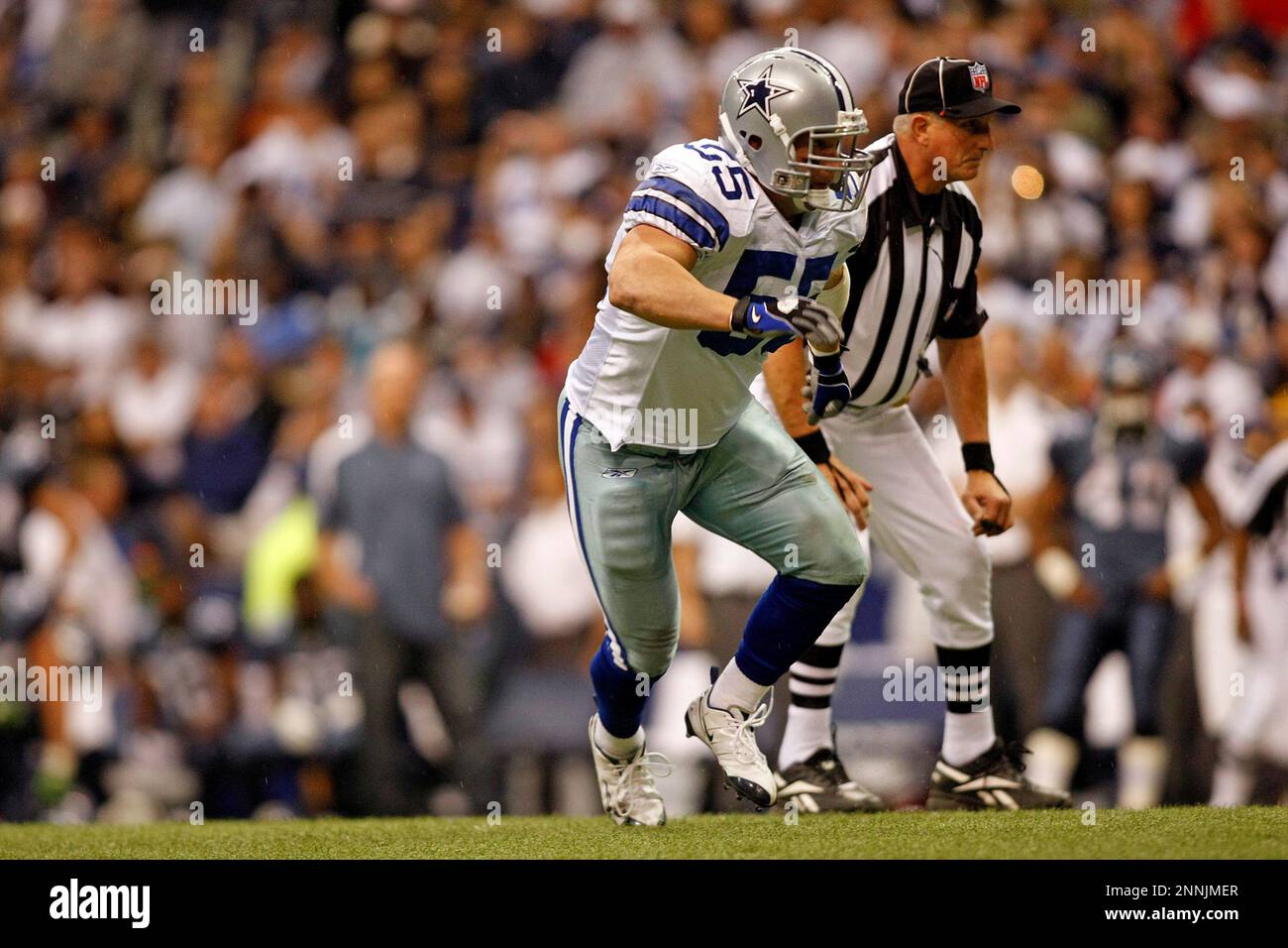 23 November 2008 - Zach Thomas (55) of the Dallas Cowboys during