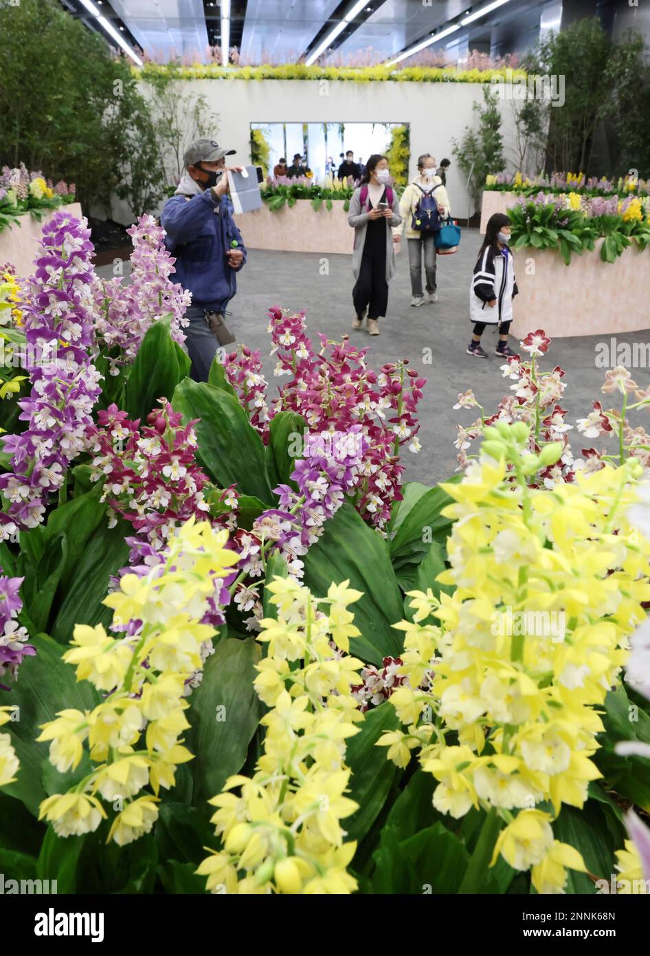 Japan Grand Prix International Orchid and Flower Show starts at Tokyo
