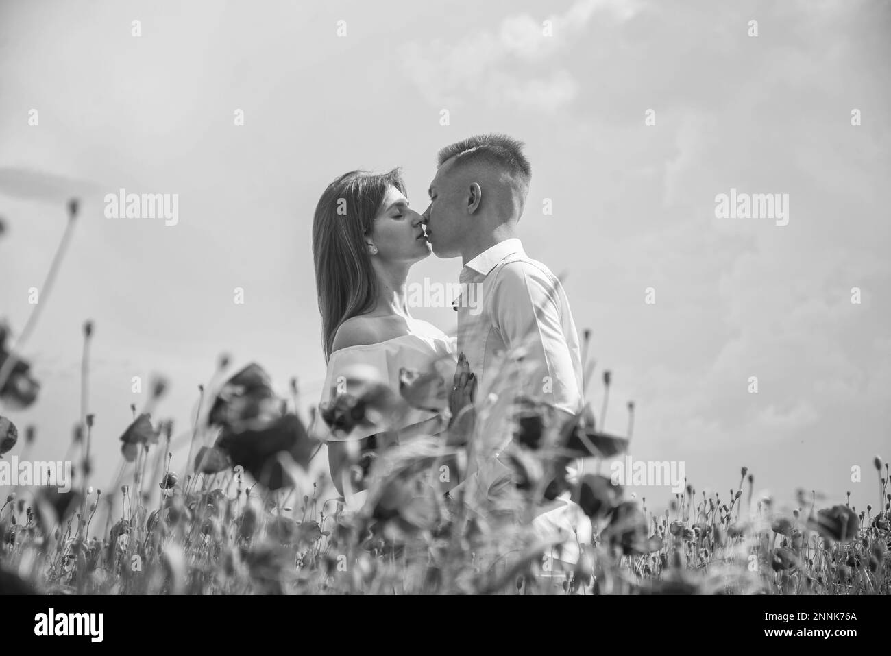 couple in love of man and woman kissing in summer poppy flower field ...