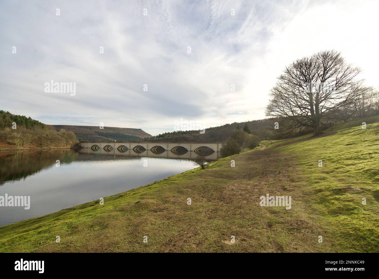 Viaduct A viaduct bridge supporting part of Snake Road