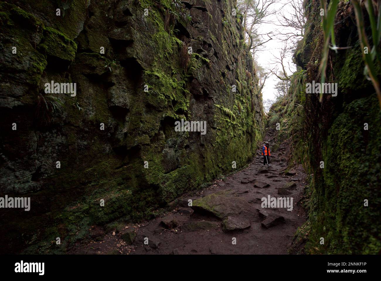 Litter Picker (Male/Man) Picking Up Litter in the Peak District