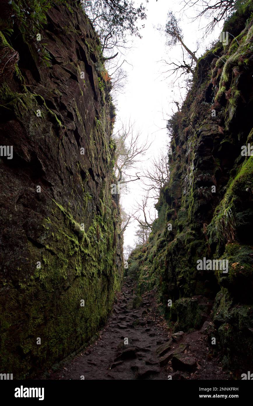 Lud's Church a deep chasm in Millstone Grit bedrock created by a