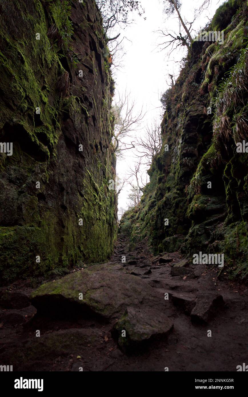 Lud's Church a deep chasm in Millstone Grit bedrock created by a
