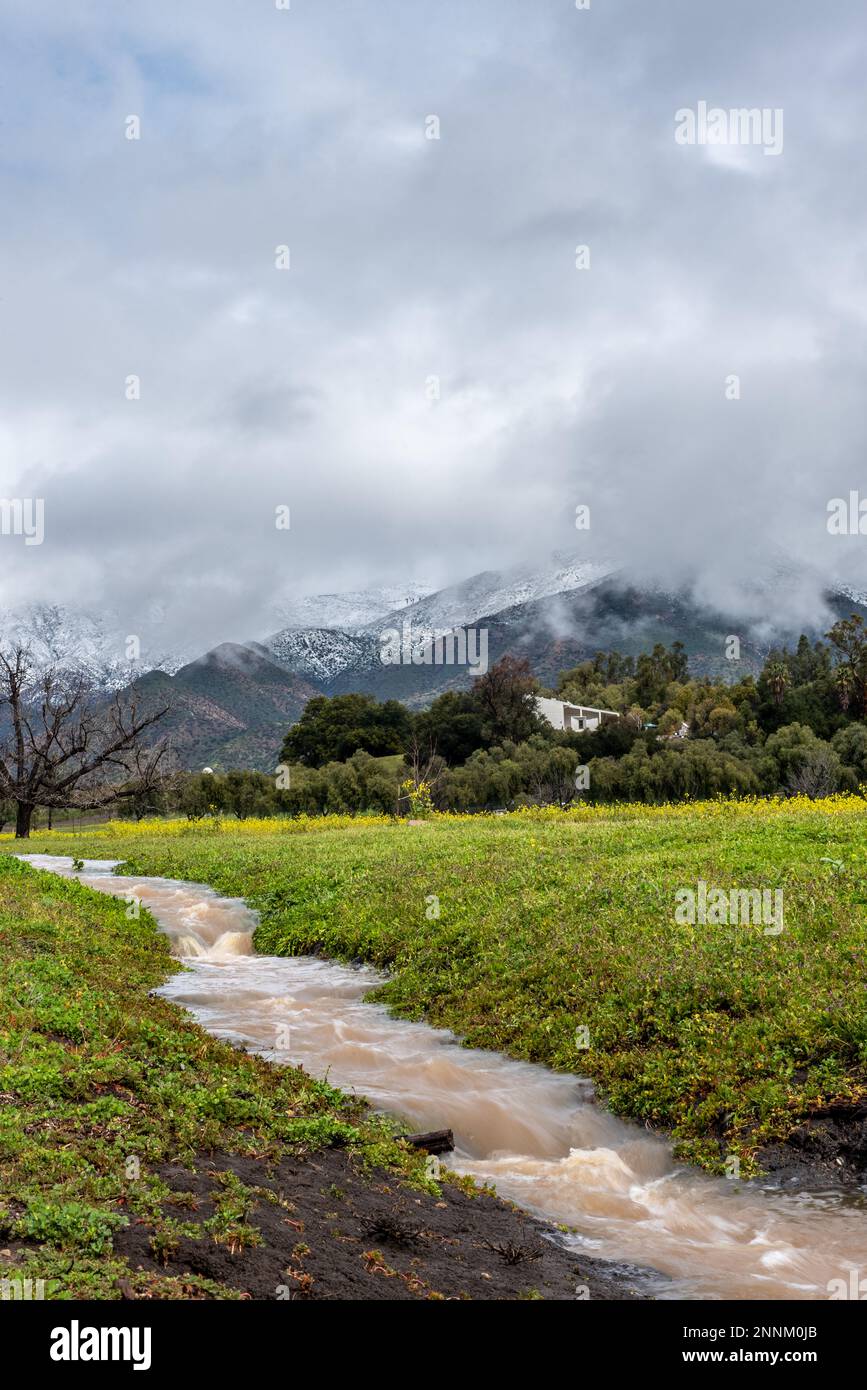 Ojai mountains covered in snow with stream running through the mustard