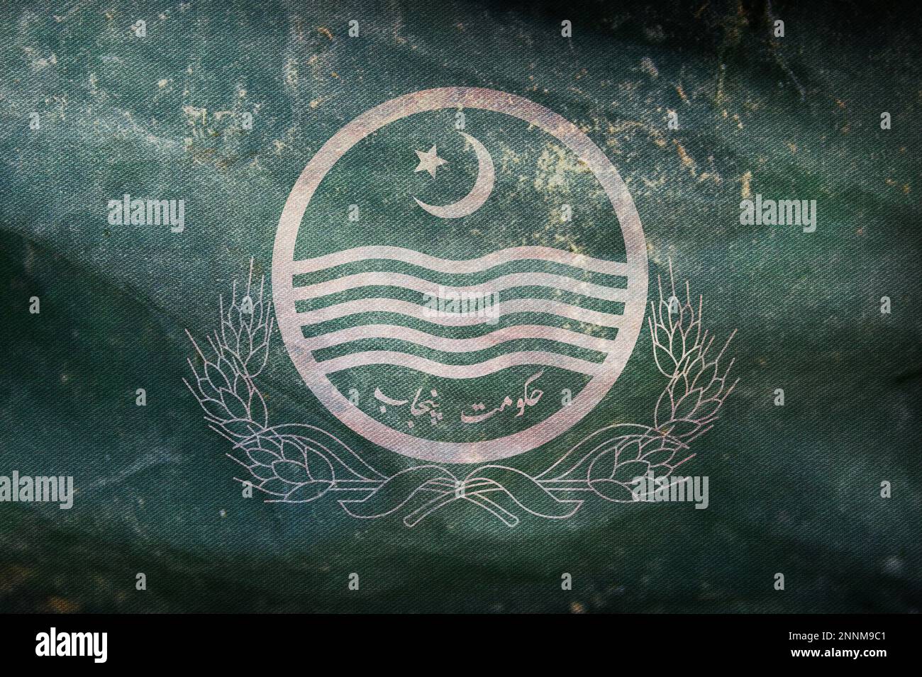 retro flag of Indo Aryan peoples Western Punjabis with grunge texture ...