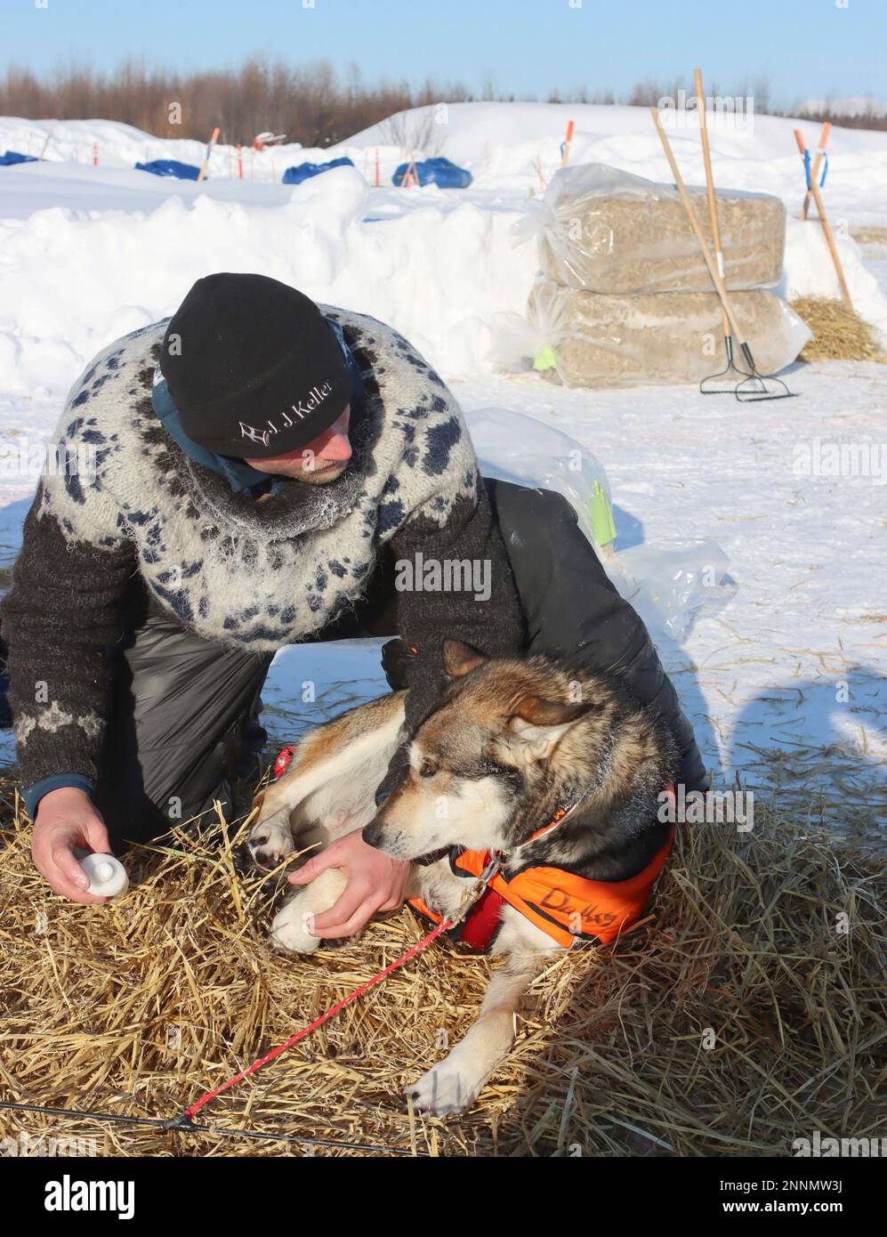 Dallas Seavey rubs ointment on his dogs paws in the McGrath checkpoint