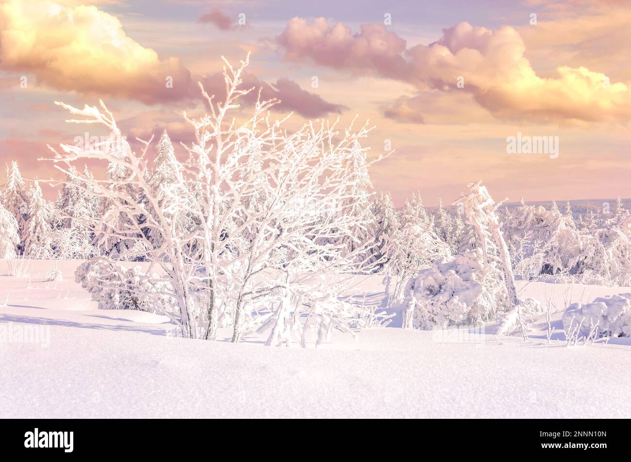 Winter Landscape, Fichtelberg, Erzgebirge, Saxony, GErmany Stock Photo