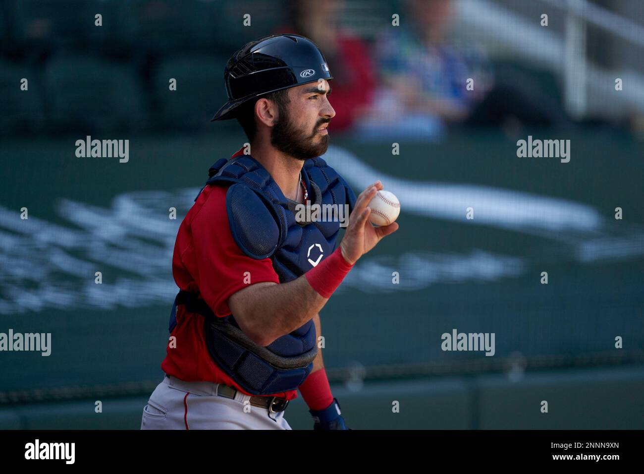 Boston Red Sox catcher Connor Wong (74) during a Major League Spring  Training game against the Atlanta Braves on March 7, 2021 at CoolToday Park  in North Port, Florida. (Mike Janes//Four Seam
