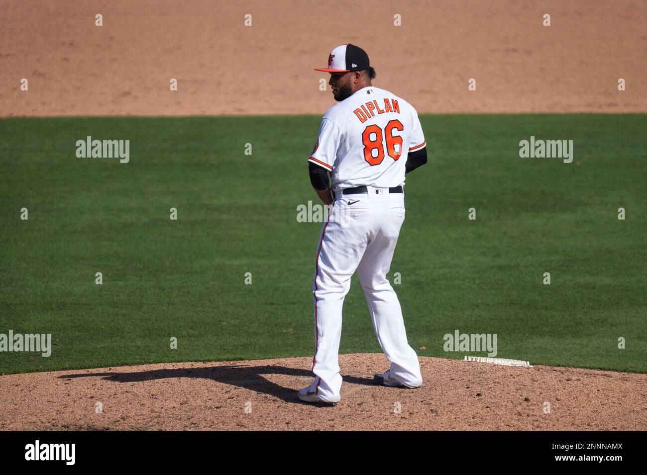Baltimore Orioles pitcher Marcos Diplan (86) during a Major League ...