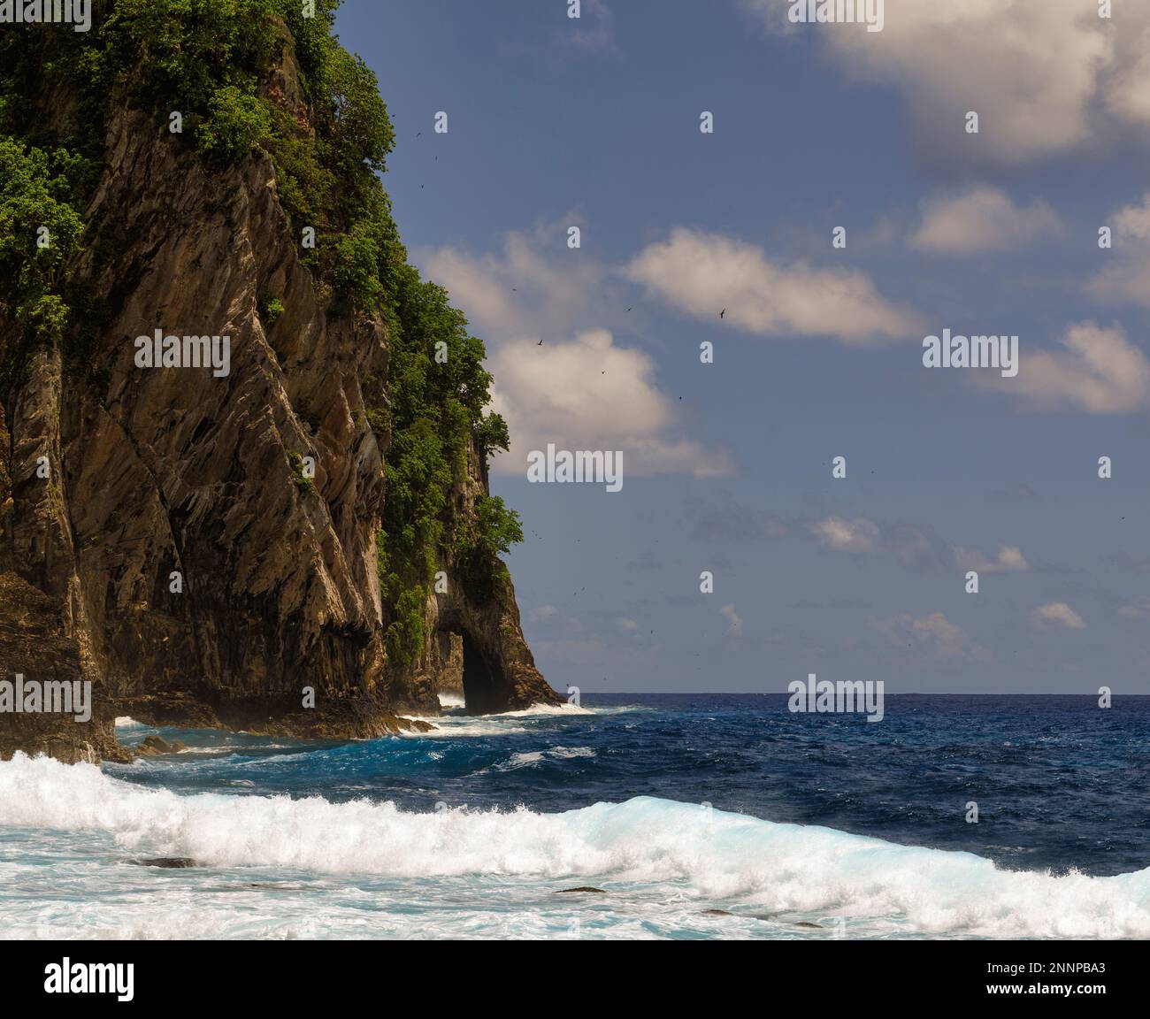 Rock formations along the coast of the National Park of American Samoa on the island of Tutuila. The only national park in the southern hemisphere Stock Photo