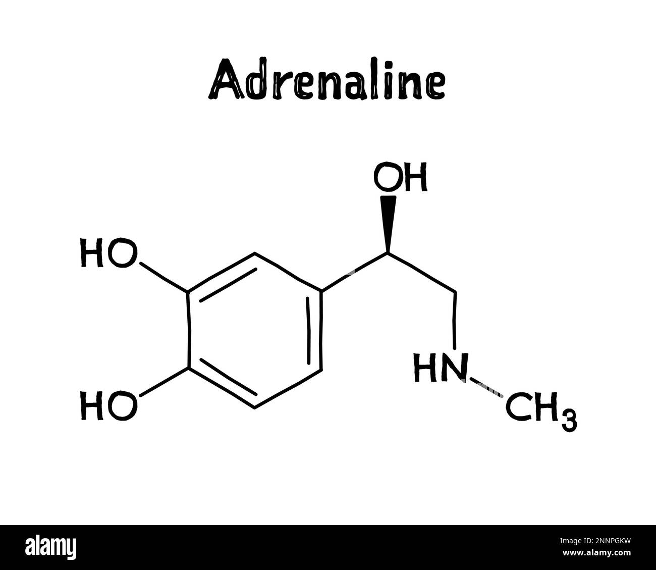 Epinephrine hormone