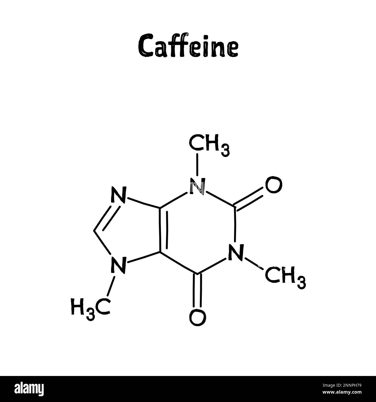 Caffeine molecular structure. Caffeine is central nervous system stimulant used as cognitive enhancer, increasing alertness and attentional performance. .Vector structural formula of chemical compound. Black pen Hand-drawn style. Stock Vector