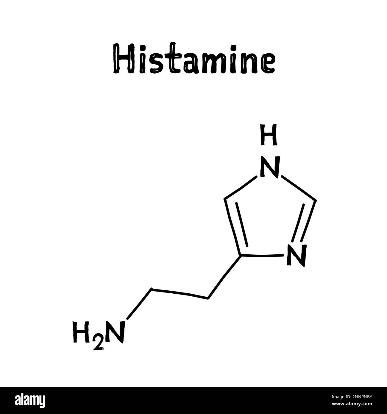Histamine molecular structure. Histamine is organic compound involved