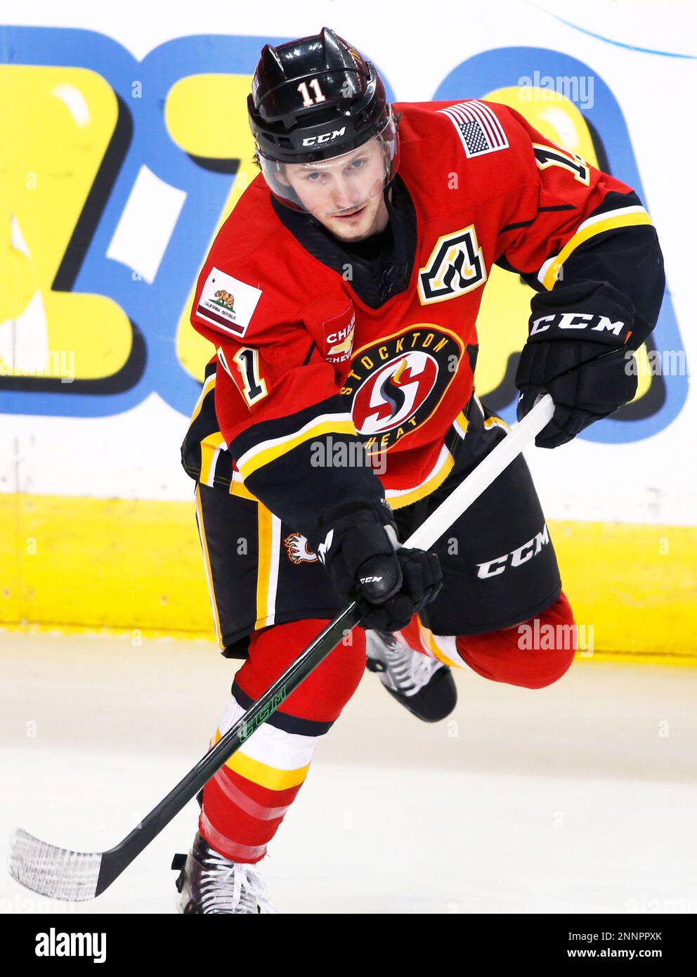 AHL (American Hockey League) profile photo on Stockton Heat player Matthew Phillips during a game against the Toronto Marlies in Calgary, Ab. on Feb