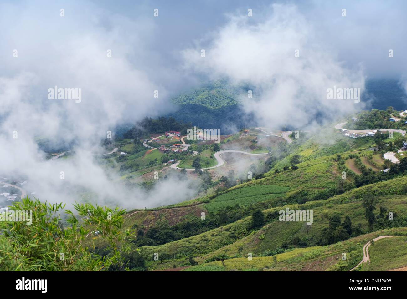 Nature landscape with foggy sea on the top of the mountain, Phu Thap Boek sea of fog In Phetchabun, Thailand Stock Photo