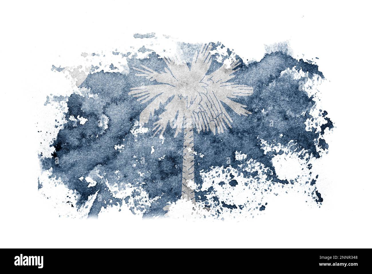 Old south carolina flag Cut Out Stock Images & Pictures - Alamy