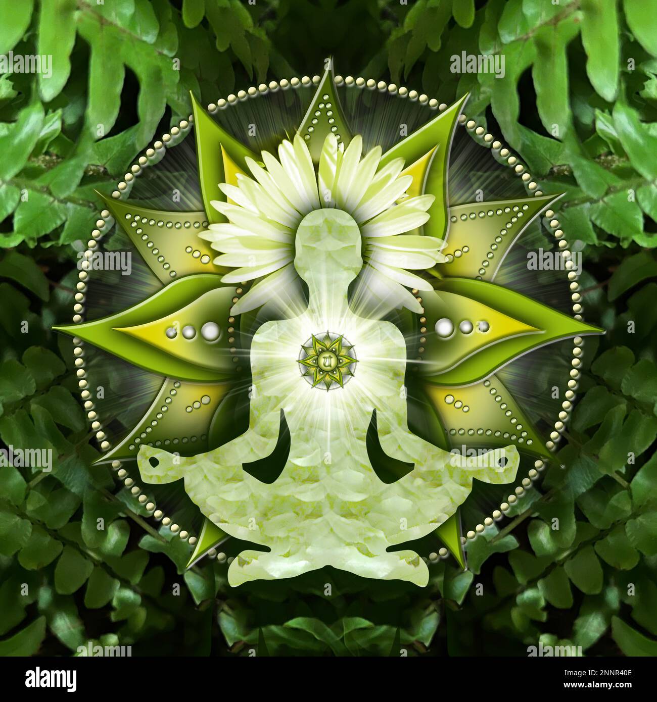 Heart chakra meditation in yoga lotus pose, in front of anahata chakra symbol and calming, green ferns. Stock Photo