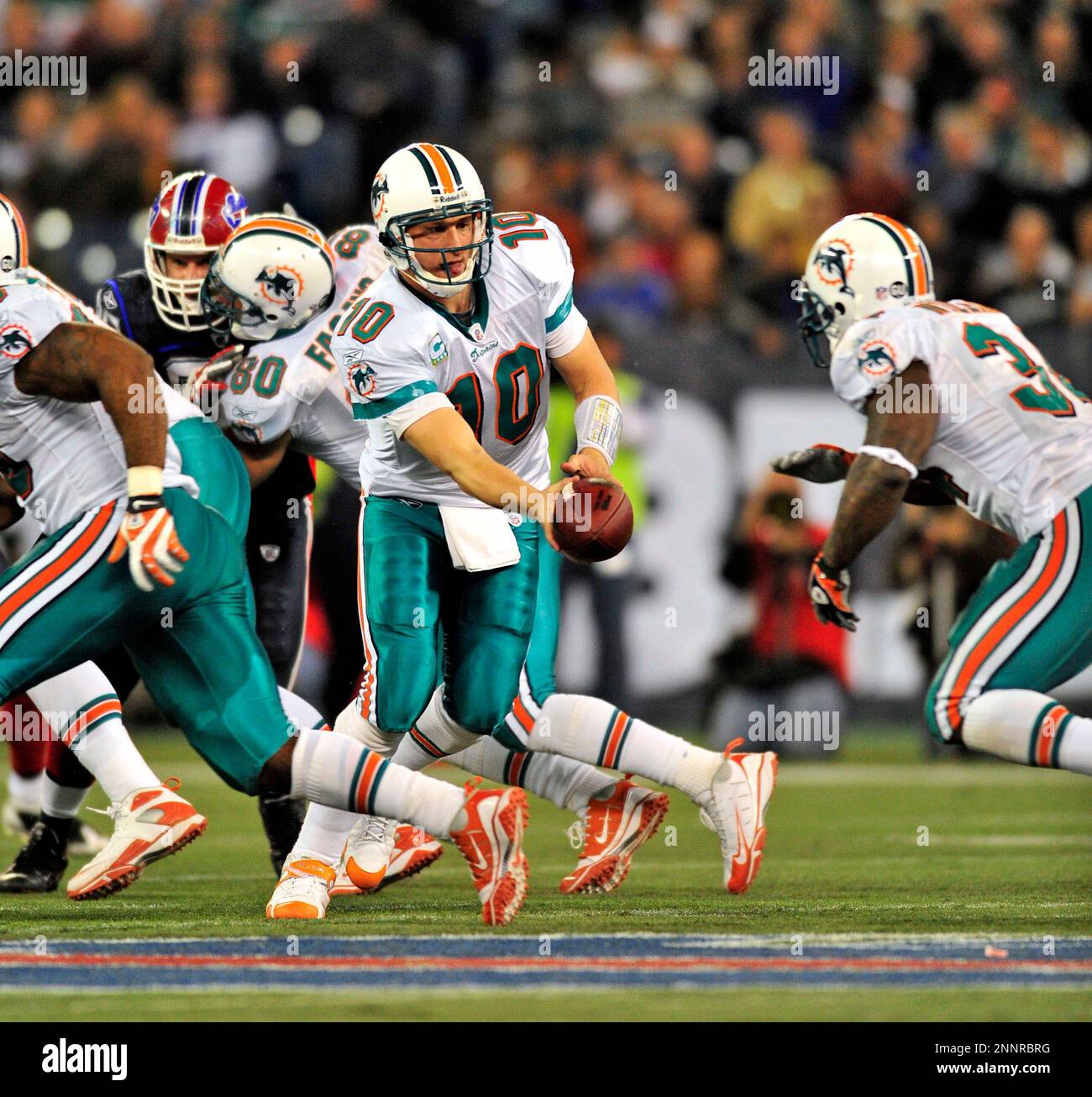 7 December 2008: Miami Dolphins' quarterback Chad Pennington in action  against the Buffalo Bills during the first regular season NFL game ever to  be played in Canada. The Dolphins defeated the Bills