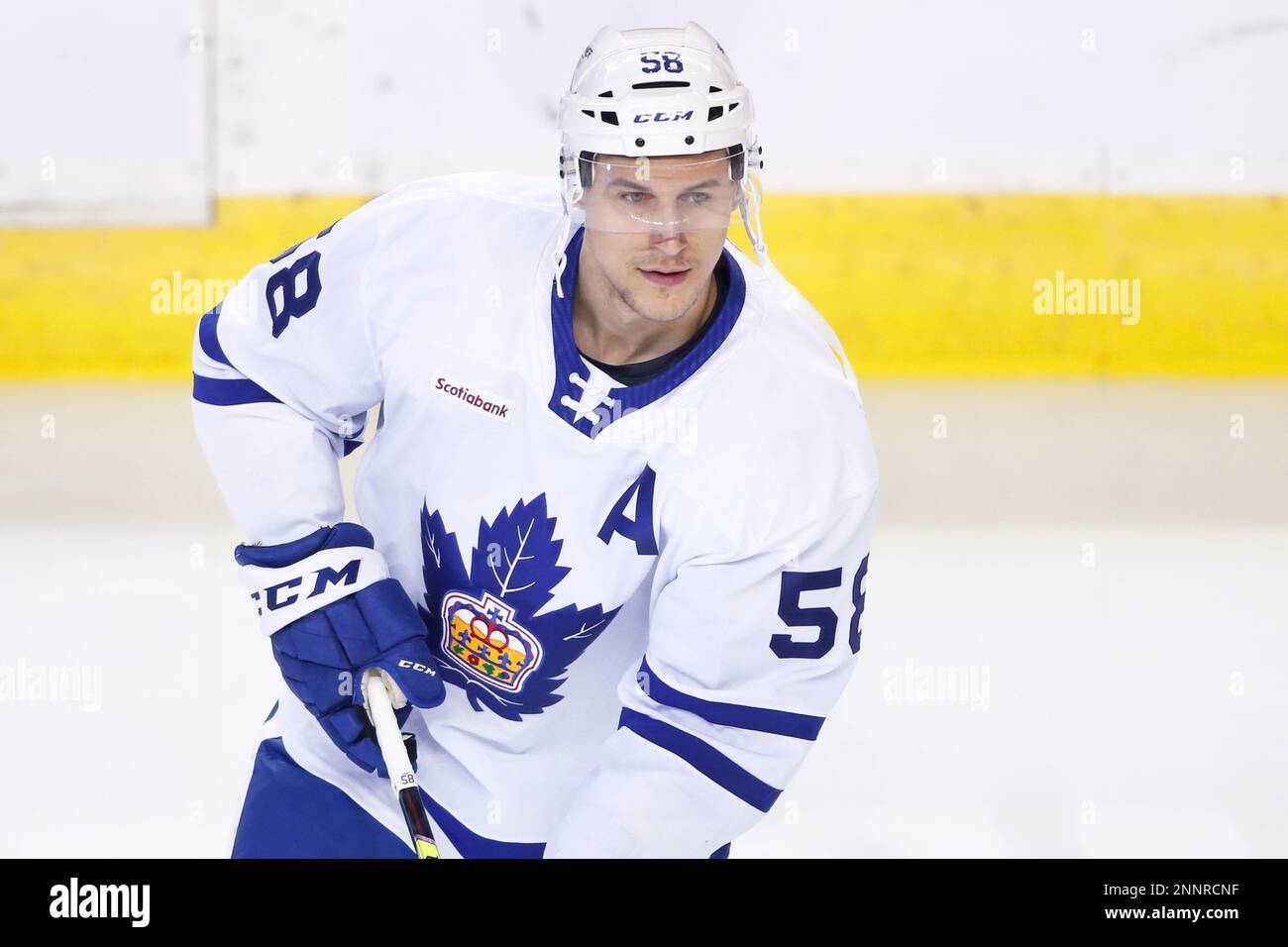 AHL (American Hockey League) profile photo on Toronto Marlies player Tyler Gaudet during a game against the Stockton Heat in Calgary, Ab. on Feb